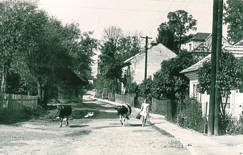 Tak wyglądała ulica Tetmajera w latach 50. XX wieku