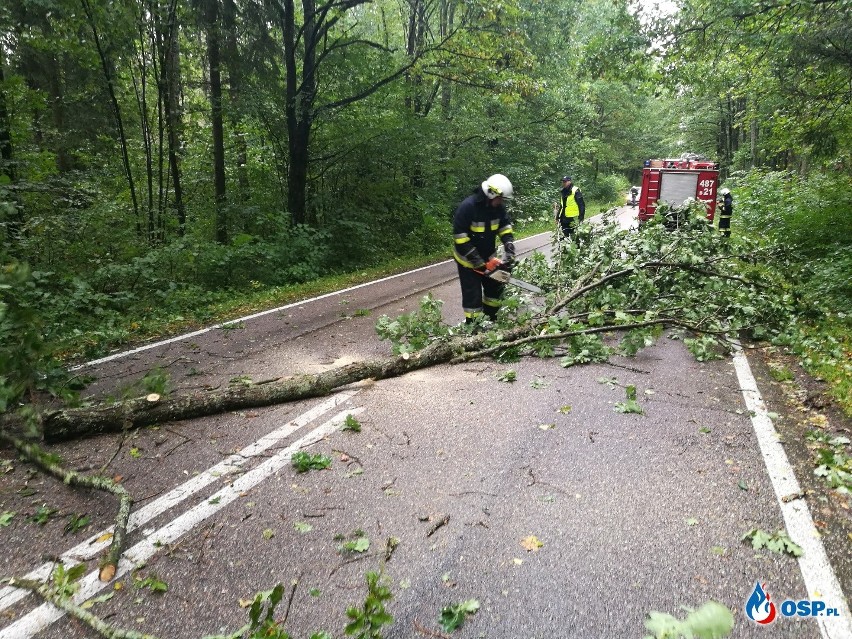 - 18 września około godz. 14:00 zostaliśmy zadysponowani...