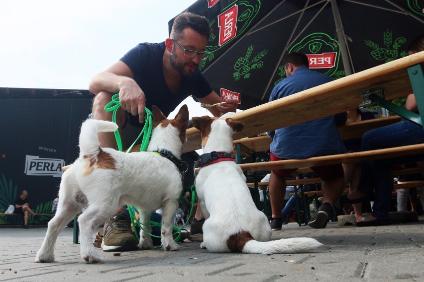 Festiwal Pierogów Świata w Lublinie