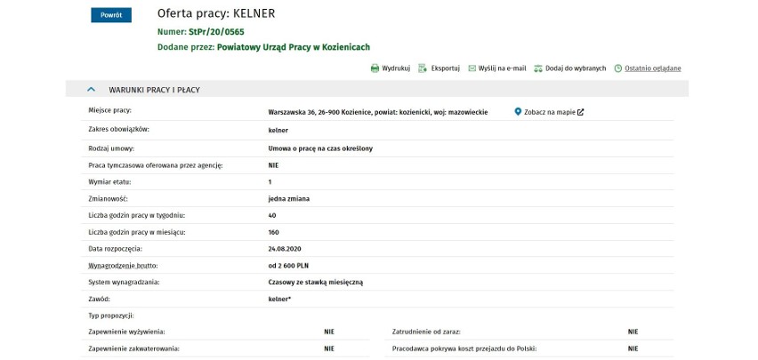 Zobacz oferty pracy z najwyższymi zarobkami w powiecie kozienickim [TOP 10]