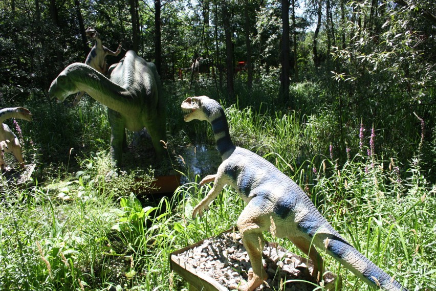 Zatorland w Zatorze pełen jest dinozaurów. Teraz można będzie zobaczyć je też nocą