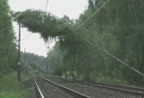 Pociąg z Krakowa do Szczecina ma już ponad 13 godzin opóźnienia! Drzewa blokują tory [wideo]