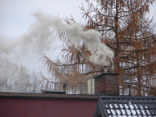 Kłęby dymu unoszą się nad ulicą Kochanowskiego w Nowym Sączu. Mieszkańcy palą w piecach, czym się da. Gdy przychodzą mrozy, stężenie niebezpiecznych substancji w powietrzu kilka razy przekracza normy