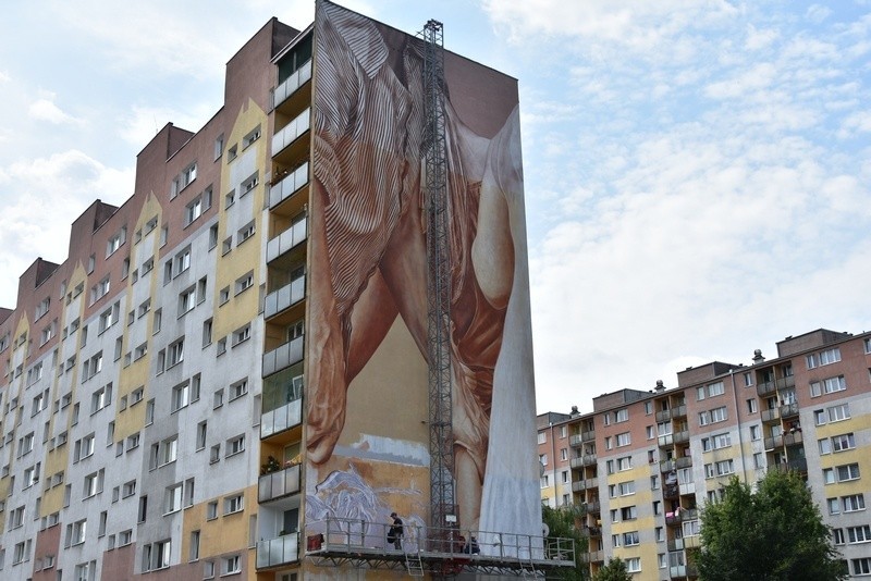 Mural za mural. Kończy się przemalowywanie  bloków na łódzkim Zarzewie