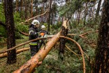 Połamane drzewa, zerwane dachy - region po nawałnicy [ZDJĘCIA]