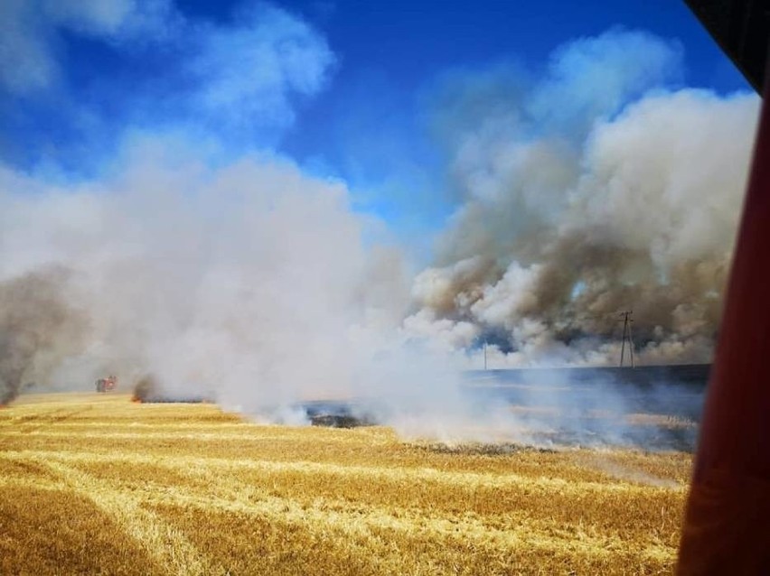 Potężny pożar pod Gierowem. Spaliło się ponad 40 hektarów...