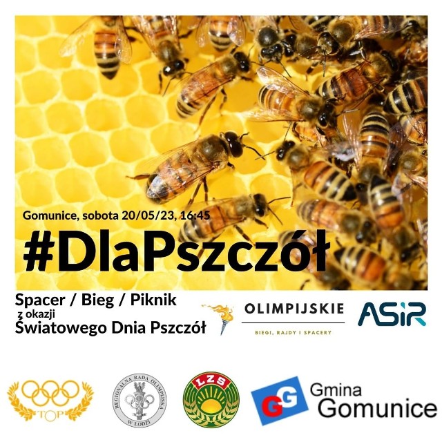 Paweł Olejniczak, wójt gminy Gomunice zaprasza na imprezę #DlaPszczół