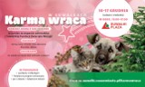 Akcja "Karma wraca" już w ten weekend. Rozdajemy świąteczne choinki. Przyjdź do Suwałki Plaza i baw się razem z nami!