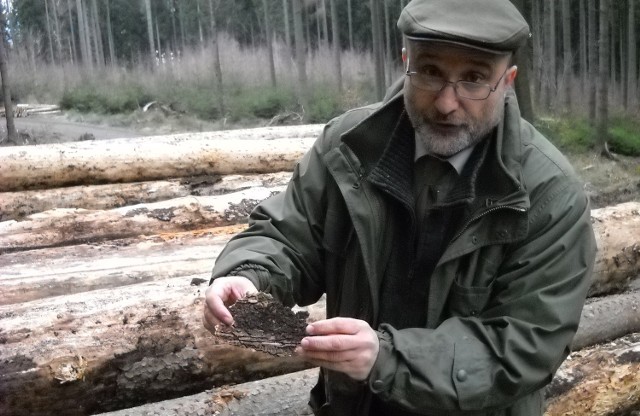 - Mamy stan klęski - przyznaje Andrzej Kwarciak z Nadleśnictwa Prudnik.