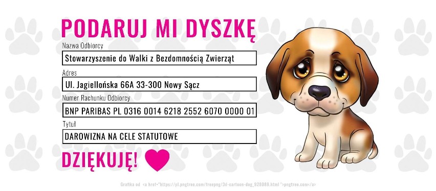 Prawie 50 adopcji w dwa miesiące! Tak działa Schronisko dla bezdomnych zwierząt w Nowym Sączu