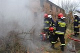 Pożar w Osieku: Strażacy gasili starą chlewnię [ZDJĘCIA]