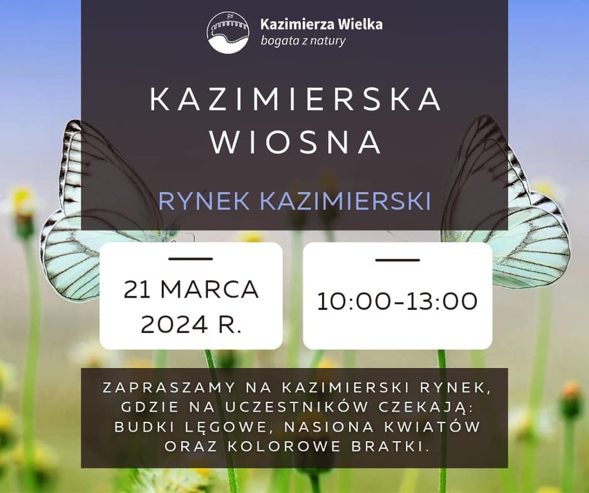 Pierwszy dzień kalendarzowej wiosny w Kazimierzy Wielkiej. Będzie kiermasz i zbiórka pieniędzy