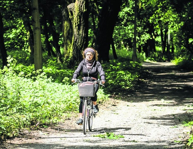 Tereny Nad Starym Kanałem Bydgoskim to nie tylko ulubione miejsce rowerzystów, ale też spacerów wielu mieszkańców Bydgoszczy