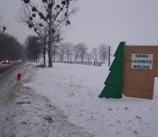 Lasowice to typowa gmina o charakterze rolnym, przemysłu tu jak na lekarstwo.