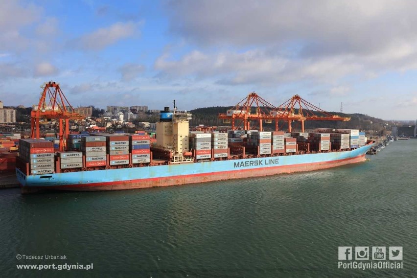 Charlotte Maersk w Porcie Gdynia, 12.02.2019