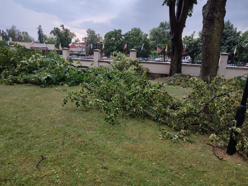 Skutki nawałnicy w Wągrowcu.