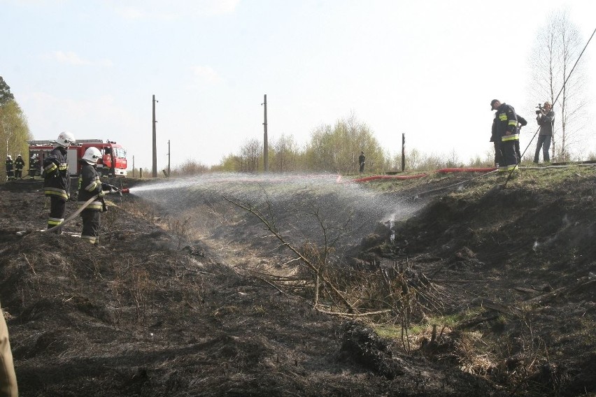 Gigantyczny pożar lasów koło Rud Raciborskich [ZDJĘCIA]