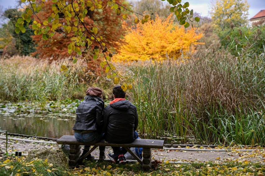 Ogród Botaniczny UJ