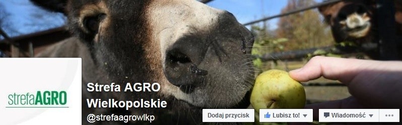 Grodziska mleczarnia była wzorem na cały kraj!