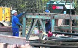 Rok temu w kopalni Wujek Śląsk doszło do wstrząsu. Ratownicy walczyli 67 dni