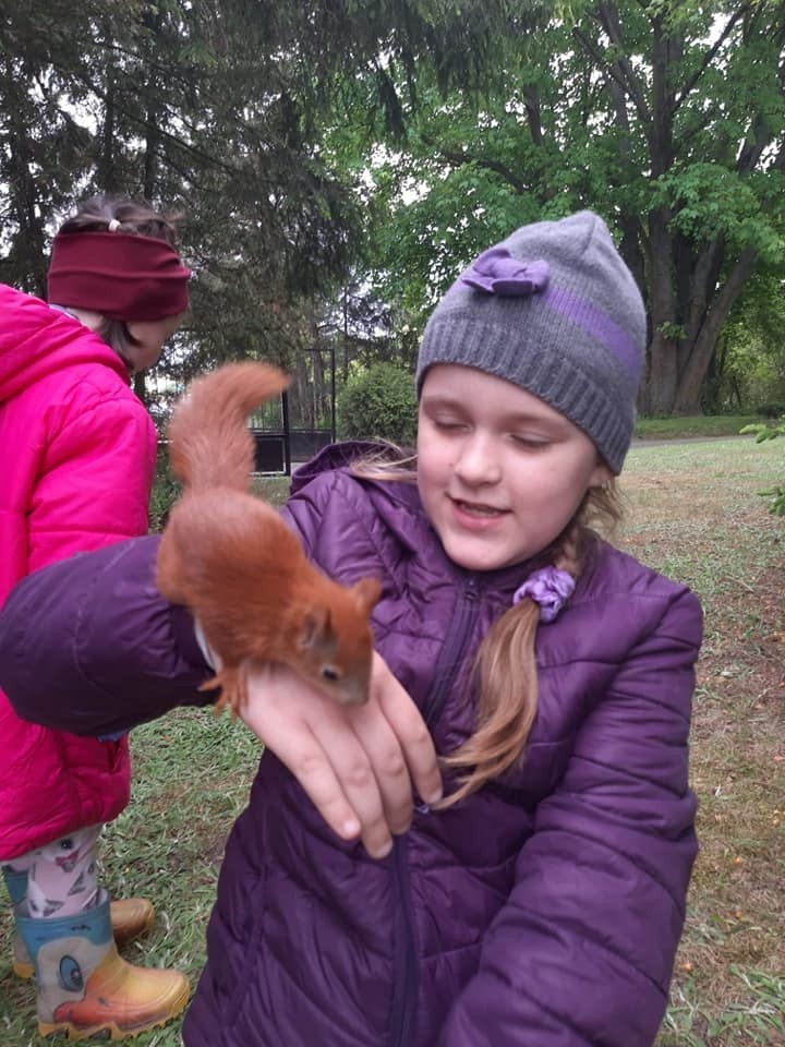 Cztery małe wiewiórki straciły matkę, maleństwami zaopiekowała się mieszkanka Skaryszewa. Trwa akcja pomocy zwierzątkom