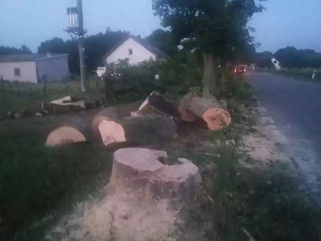 Strażacy pracowali przez kilka godzin przy usuwaniu drzew.