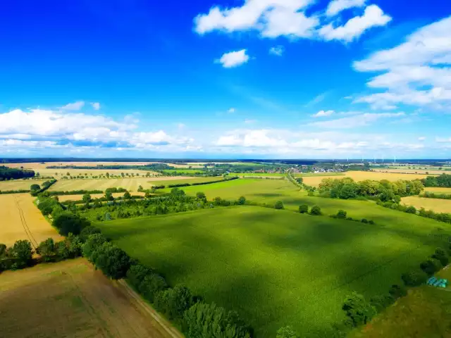 Wsparcie na zakładanie systemów rolno-leśnych w ramach Wspólnej Polityki Rolnej to nowość w Polsce. Systemy rolno-leśne przyczyniają się do redukcji emisji gazów cieplarnianych oraz zwiększania zawartości materii organicznej w glebie.