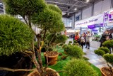 Gardenia 2020: Wracają imprezy na Międzynarodowych Targach Poznańskich. Na początek popularne targi ogrodnicze