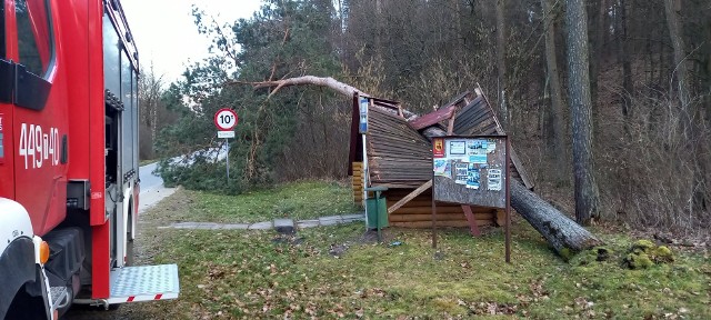 W miejscowości Wojciechówka w gminie Ożarów drzewo przewróciło się na przystanek autobusowy.