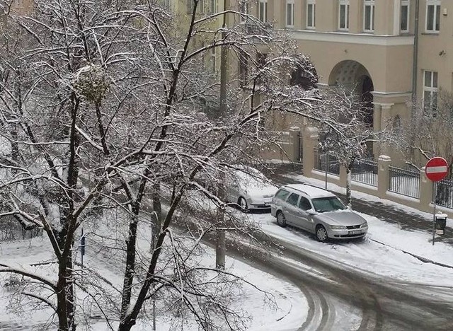 Pogoda na dziś, woj. kujawsko-pomorskie - 27.01.2015. Dziś w całym regionie ma być biało