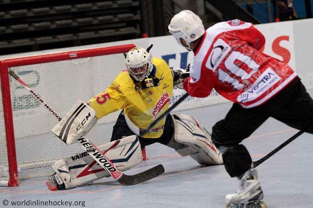 Na ostatnich mistrzostwach świata w hokeju na rolkach Polska zajęła dziewiątą lokatę.