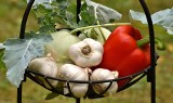 Ekologiczne sposoby walki z chorobami i szkodnikami w uprawach warzyw i owoców. Porady