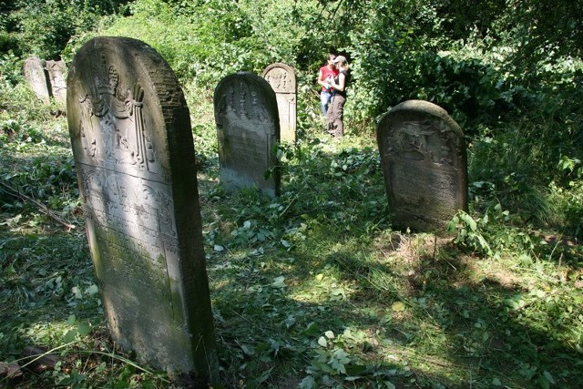 Cmentarz żydowski oczyścili członkowie Towarzystwa Przyjaciół Bodzentyna