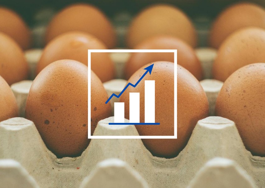 Przed Wielkanocą ceny jajek mocno rosną. Eksperci prognozują granicę wzrostów. Stawki podbijają koszty hodowli kur