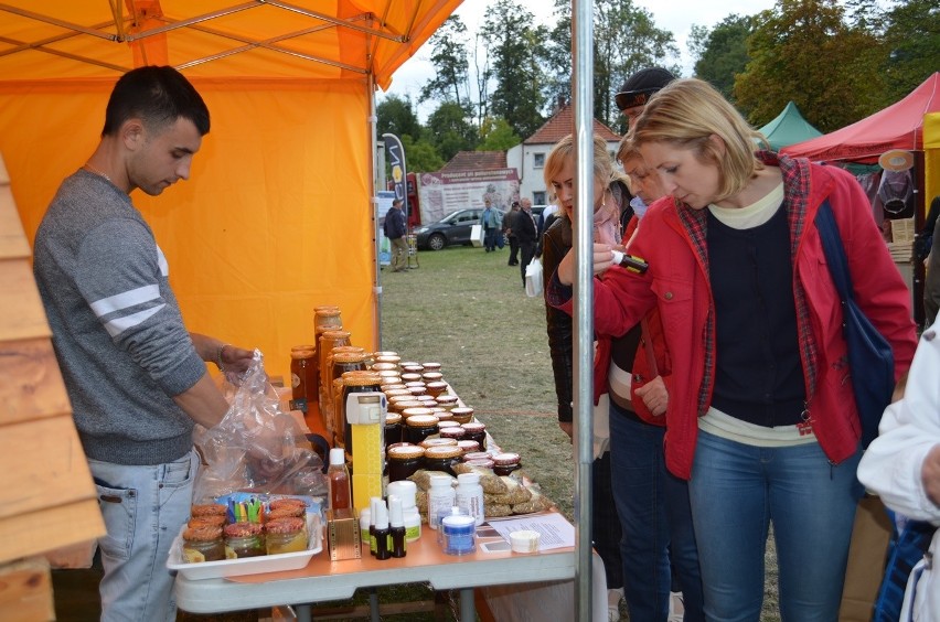 Po raz piętnasty odbyło się przemkowskie święto miodu i wina