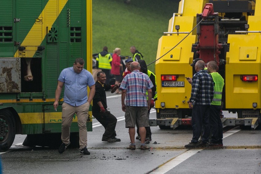 Wypadek w Bochni na DK 94. Nie żyją dwie osoby [ZDJĘCIA, WIDEO]