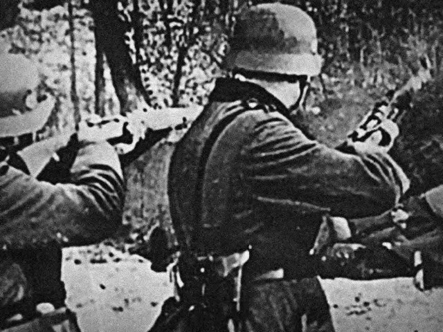 Mordu na polskich profesorach dokonało tzw. Einsatzkommando zur besonderen Verwendung.