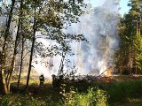 Ogromny pożar w powiecie białogardzkim. To tylko ćwiczenia [zdjęcia]