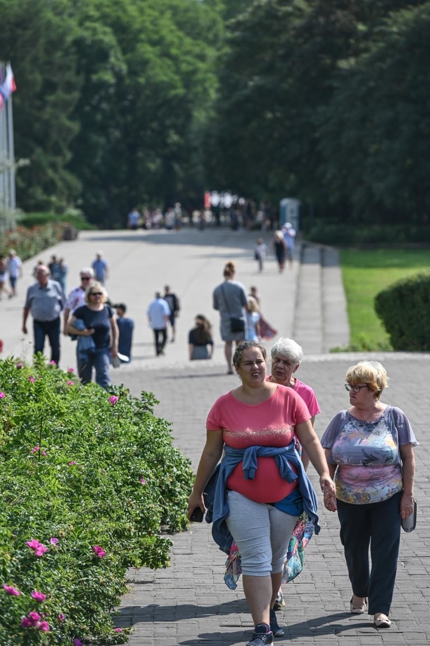 Tłumy gdańszczan i turystów na Westerplatte, sobota 28 lipca...