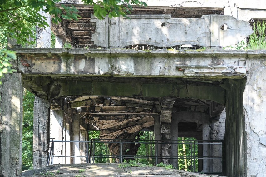 Tłumy gdańszczan i turystów na Westerplatte, sobota 28 lipca...