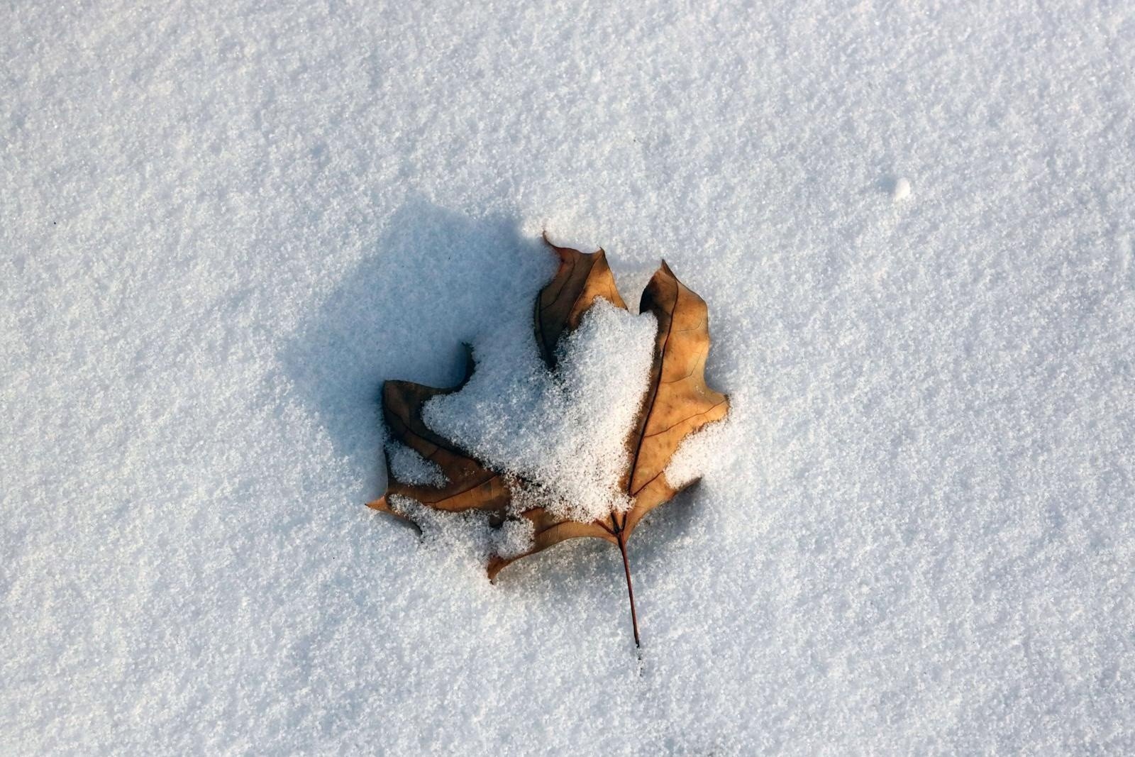 Jaka będzie zima w tym roku? IMGW przedstawiło eksperymentalną  długoterminową prognozę pogody | Polska Times