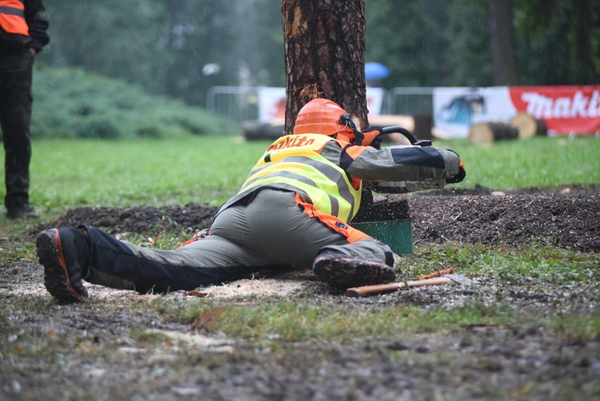 Cietrzewisko 2017 w Koszęcinie. Było naprawdę ostro, aż wióry leciały ZDJĘCIA