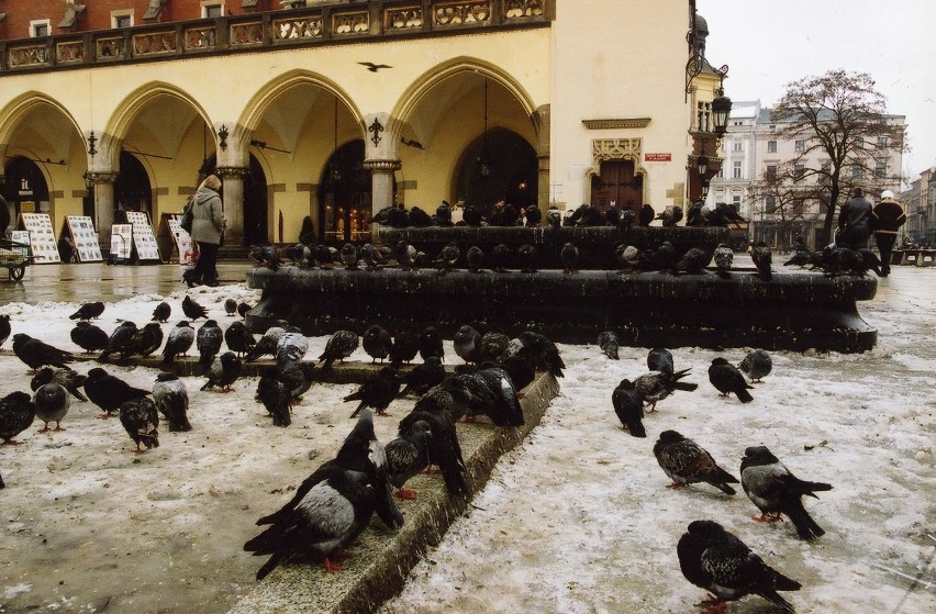 Kraków. Fontanna prof. Zina zostanie odtworzona? Urzędnicy mają problem