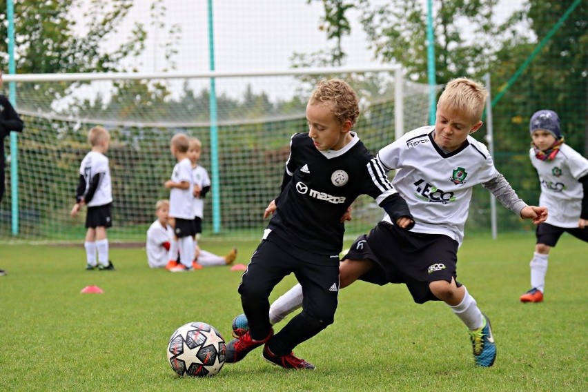 Piłka nożna. DAP Kielce organizuje turniej selekcyjny DAP Kielce CUP. Turniej przeznaczony dla wszystkich zawodników z rocznika 2016