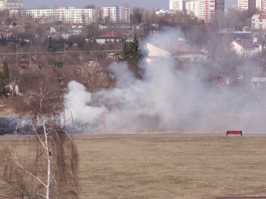 Z maila wzięte: Spłonęła trawa na lubelskich Tatarach