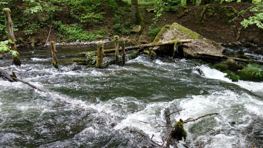 Drawieński Park Narodowy: Drawa, Płociczna, Jezioro...