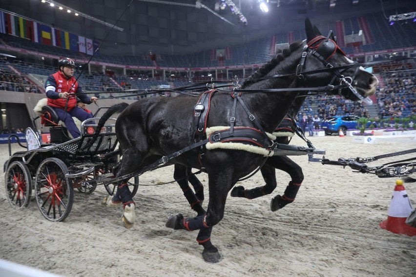 Wspaniałe konie w Tauron Arenie Kraków