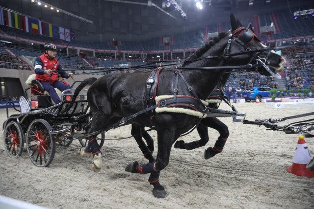 Wspaniałe konie w Tauron Arenie Krak&oacute;w