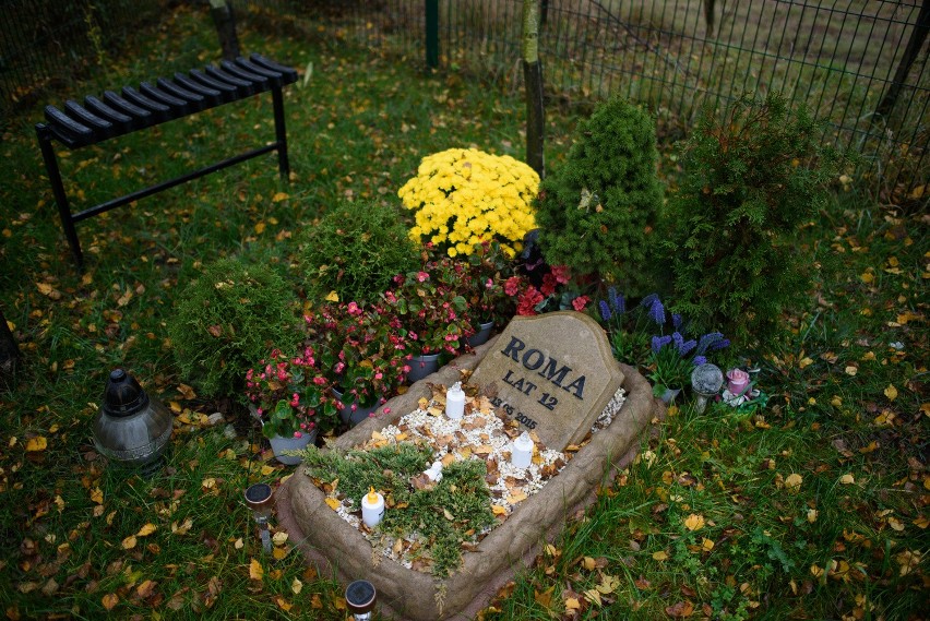 "Tęczowy las" - cmentarz dla zwierząt w Toruniu