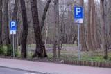 Zaprotestują przeciwko budowie parkingu w Parku Północnym w Sopocie